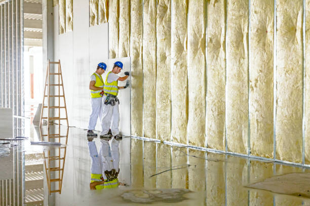 Best Commercial Insulation in Fredericktown, OH